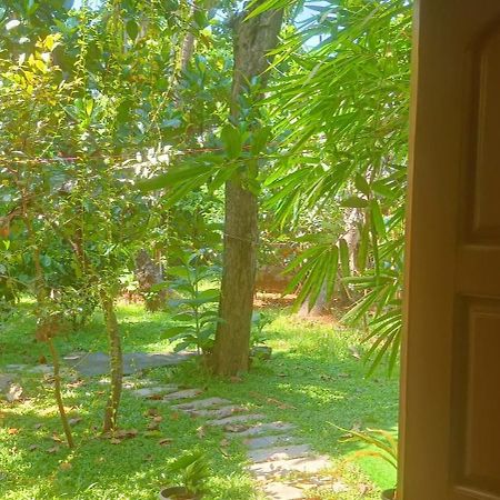 Mother'S Inn Homestay Kochi Exterior photo